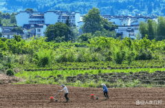沉磅！地方、国务院印发农业强国规划！