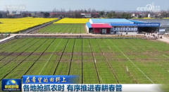 从多范畴数据里经济成长向新向好 高质量
